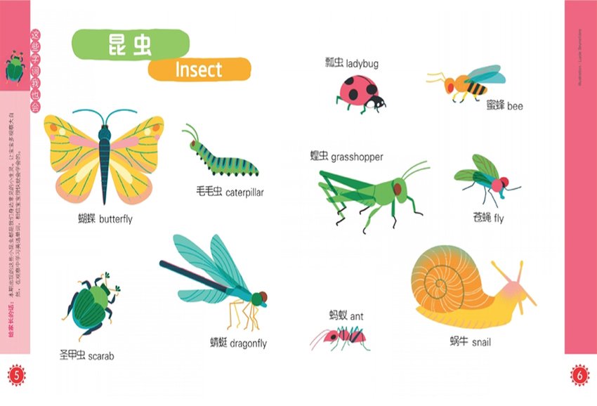 杂志简介