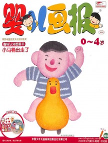 一年24期 彩色铜版纸
