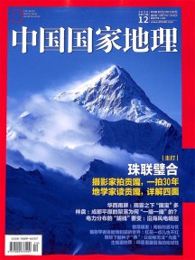 一年12期 彩色铜版纸