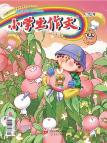 小买球入口最新优惠作文