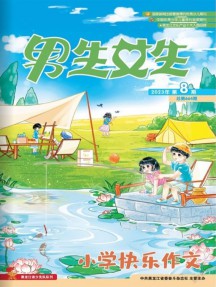 一年24期 彩色铜版纸