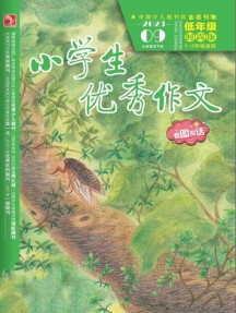 一年24期 彩色铜版纸
