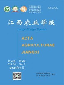 保障正刊 品类丰富 折扣优惠 继续了