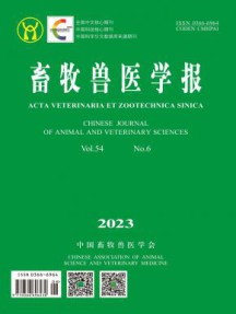 国内刊号：11-2206/TS