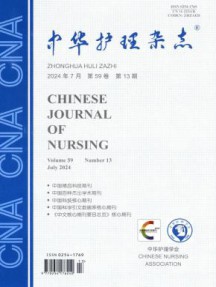 国内刊号