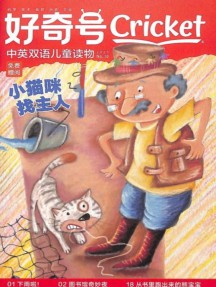 单期48页