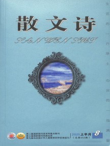 单期88页